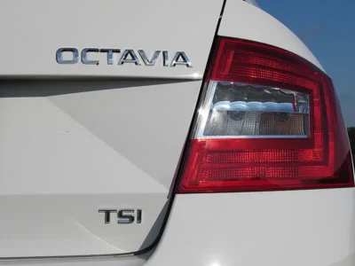 skoda rapid timing belt replacement Totton